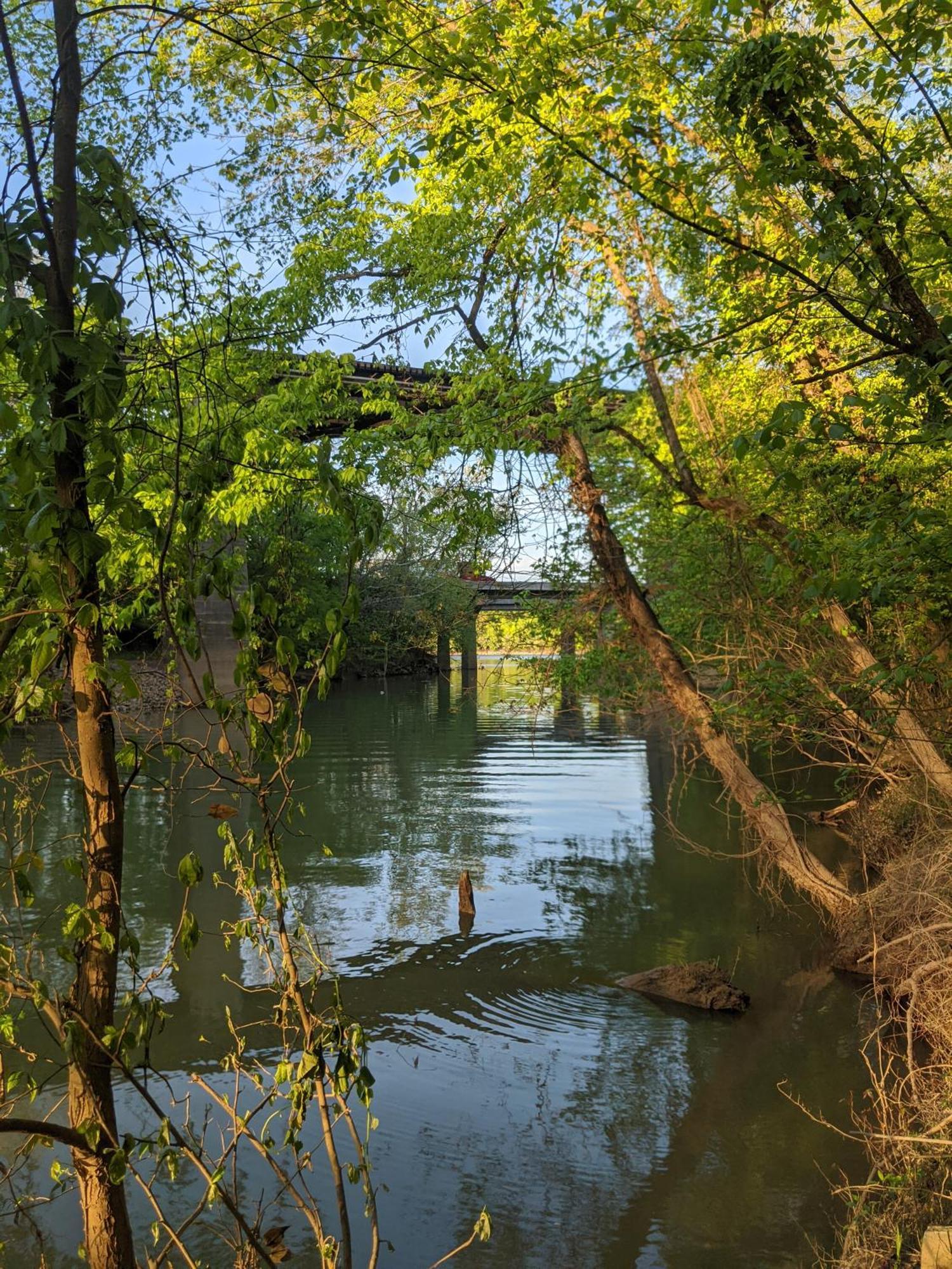 River Cabin Hot Tub & Swim Spa Near Downtown Τσαττανούγκα Εξωτερικό φωτογραφία